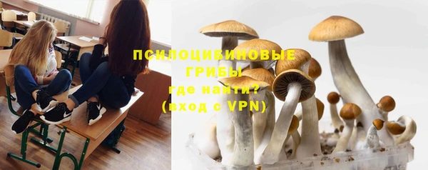 мет Балахна