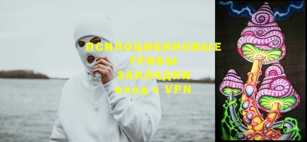 соль ск Балабаново