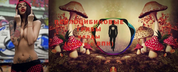 соль ск Балабаново