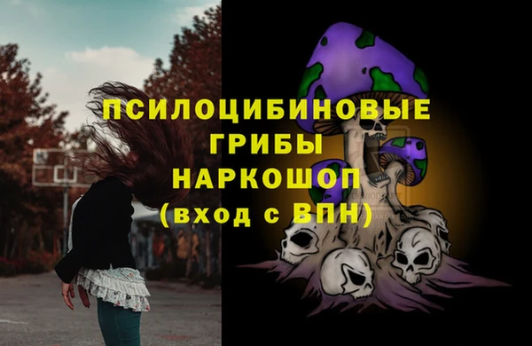 соль ск Балабаново